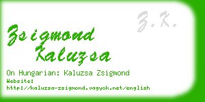 zsigmond kaluzsa business card